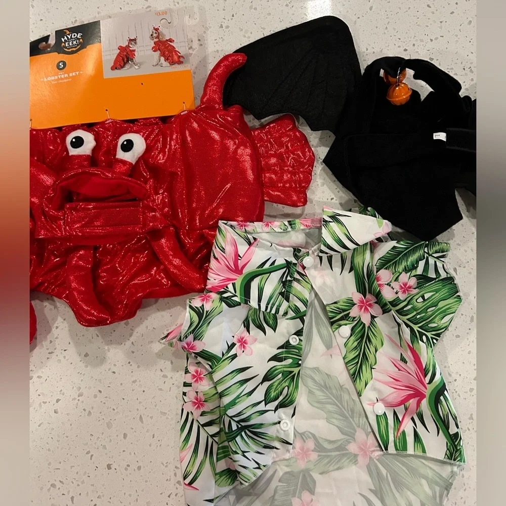Assorted Cat Halloween Costumes